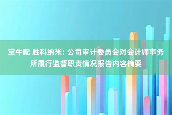 宝牛配 胜科纳米: 公司审计委员会对会计师事务所履行监督职责情况报告内容摘要