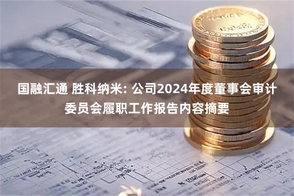 国融汇通 胜科纳米: 公司2024年度董事会审计委员会履职工作报告内容摘要