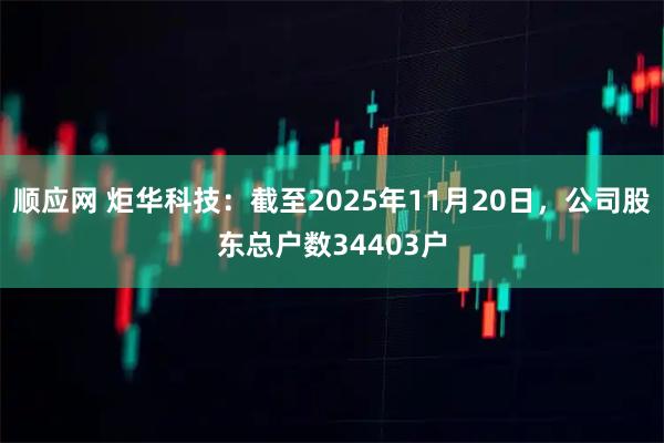 顺应网 炬华科技：截至2025年11月20日，公司股东总户数34403户