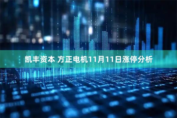 凯丰资本 方正电机11月11日涨停分析