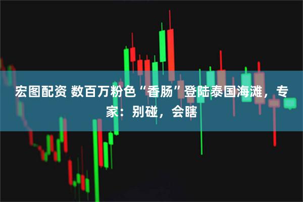 宏图配资 数百万粉色“香肠”登陆泰国海滩，专家：别碰，会瞎